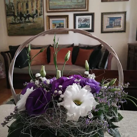 Classic Style Appartement Belgrado